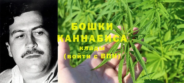 сатива Абдулино