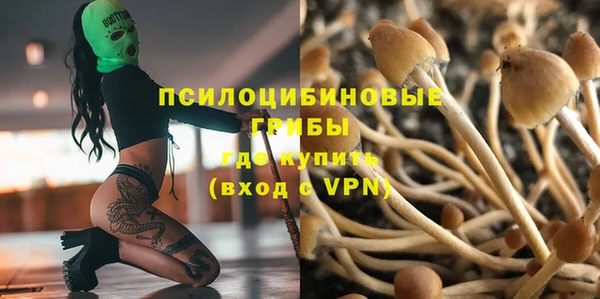 сатива Абдулино